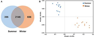 Rumen Microbiota of Tibetan Sheep (Ovis aries) Adaptation to Extremely Cold Season on the Qinghai-Tibetan Plateau